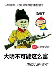 大明不可能这么富的